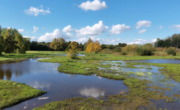 Photo of Plock Court wetland flooded