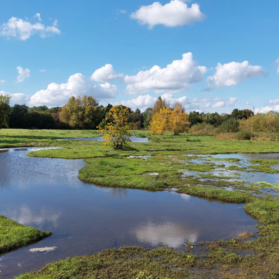 Photo of flooding at Plock Court Wetland