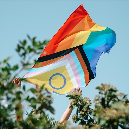 Person holding a multicoloured flag in the air