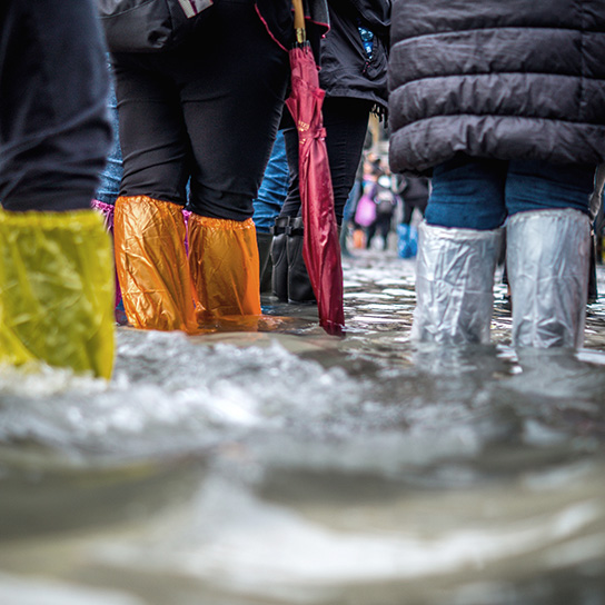 Close up of feed in flooded area
