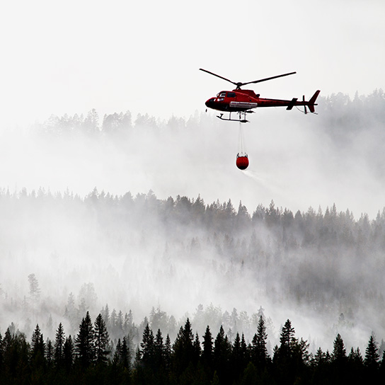 Helicopter flying over forest