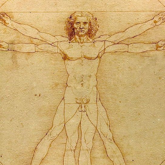 Leonardo da Vinci Vitrucian man